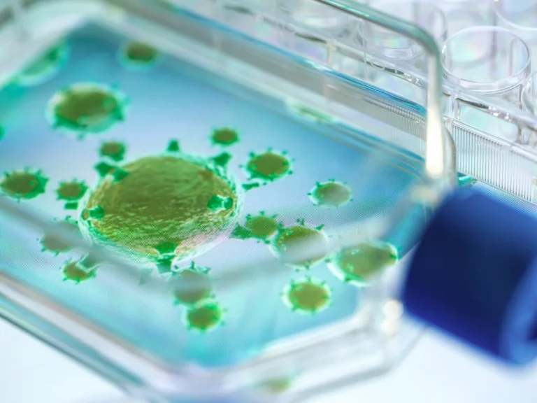 Bulaşıcı Hastalıklar Nelerdir ve Nasıl Önlenir