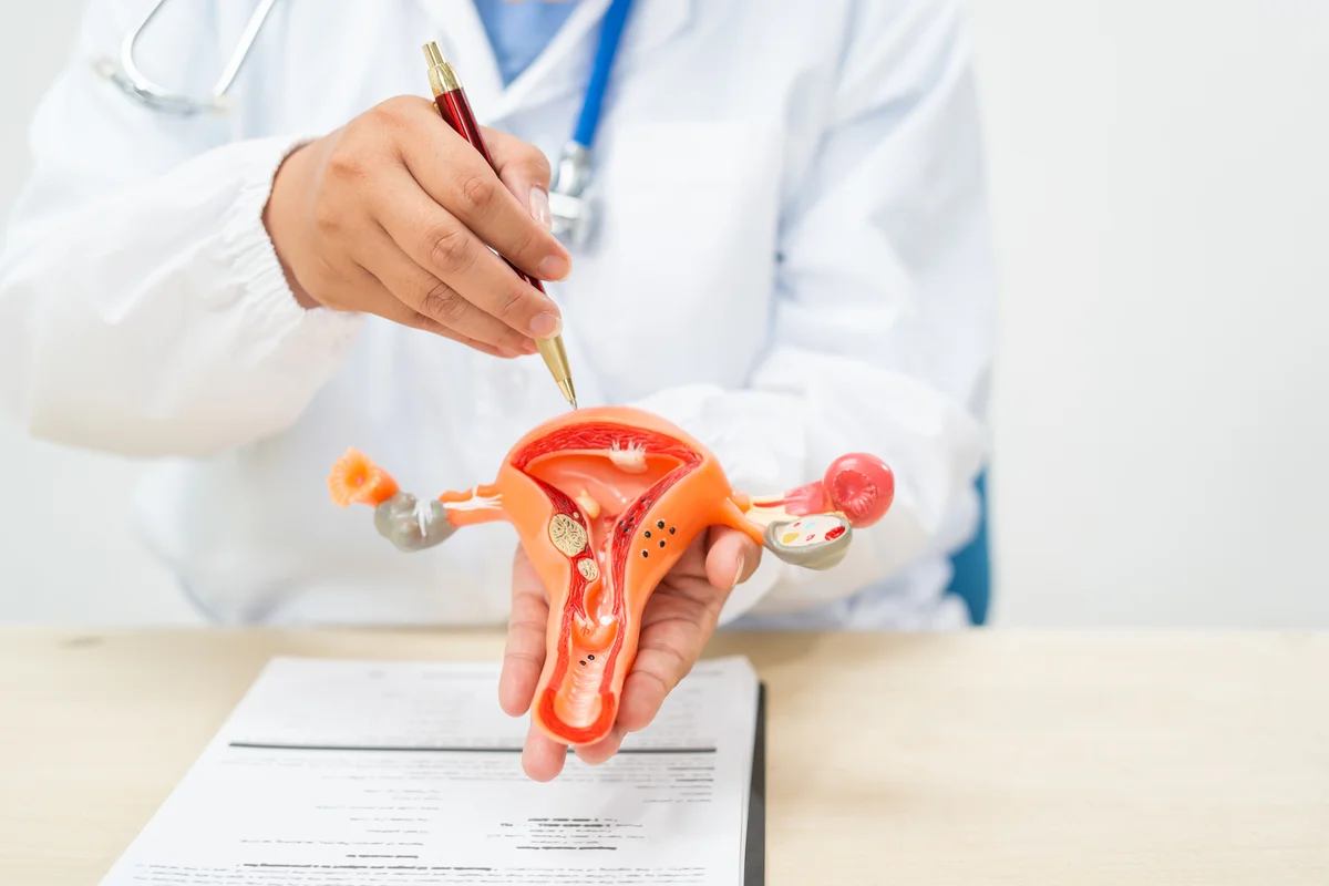 Genital Organ Sarkmaları Sebepler, Belirtiler ve Çözümler