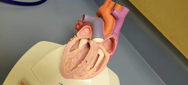 Açık Bypass Ameliyatı Nedir ve Nasıl Yapılır